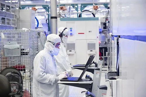 沒有移民，美國工業復興只是做夢——信息技術咨詢服務的視角